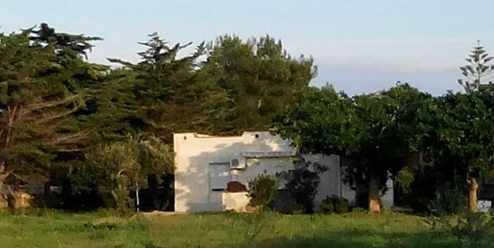 Sogni Nel Blu Favignana别墅 外观 照片